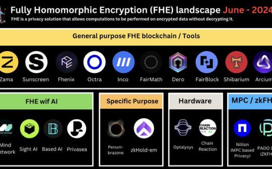 <b>FHE现状、生态格局及未来挑战</b>