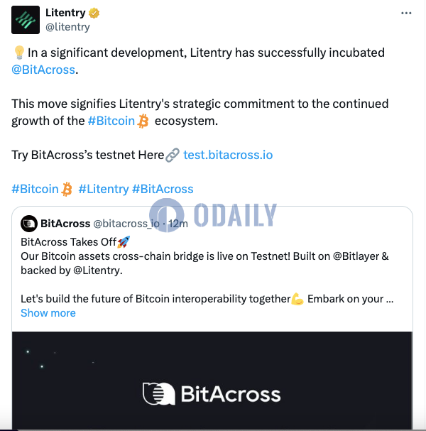 Litentry孵化项目BitAcross宣布其比特币资产跨链桥上线测试网