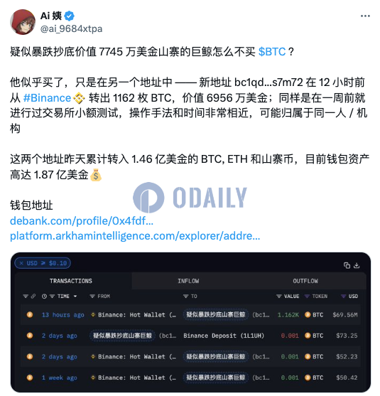 此前抄底山寨币的巨鲸疑似在12小时前从币安转出1162枚BTC