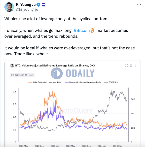 CryptoQuant CEO：鲸鱼只在周期性底部使用大量杠杆，当前市场并未过度杠杆化