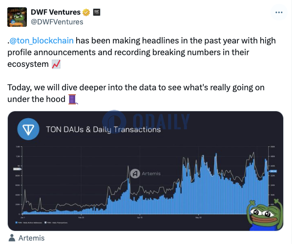 DWF Ventures：TON年内DAU增长超10倍，近一个月与CEX间转账总额达10亿美元