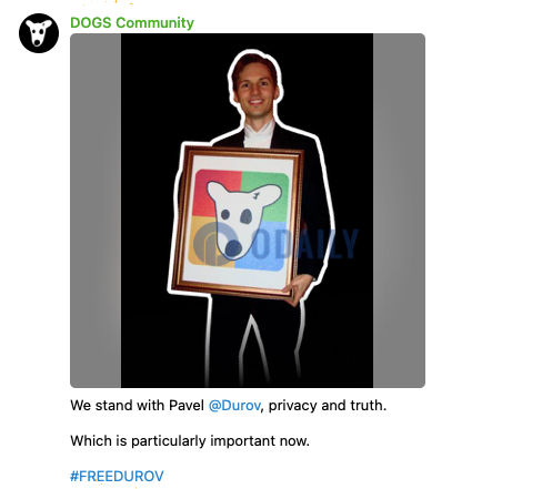 DOGS：我们支持Pavel Durov，隐私和真相
